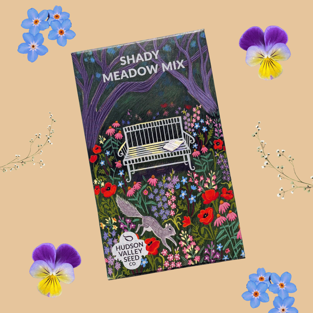 Seed packet labeled 'Shady Meadow Mix' with illustrations of a bench and flowers on a beige background.