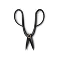 Artisan Garden Pruning Shears | High-Carbon Steel & Brass