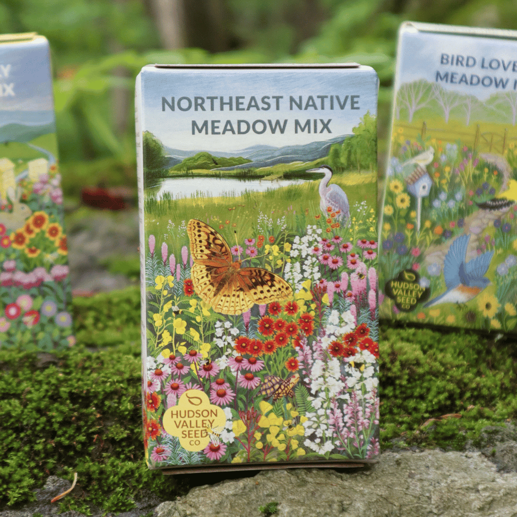 Northeast Native Meadow Mix | Individual Seed Shaker