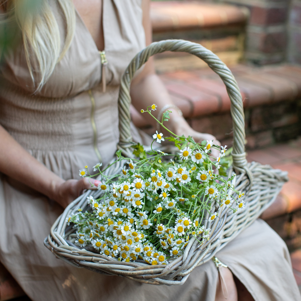 Person holding a woven basket filled with white flowers and greenery, sitting on a stone bench.