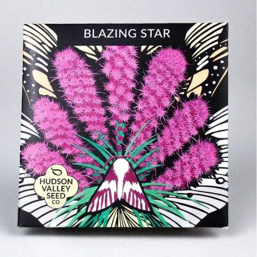 A square seed packet for 'Blazing Star' seeds by Hudson Valley Seed Co, featuring a vibrant graphic illustration of bright pink flowers and a mountain motif on a black background.