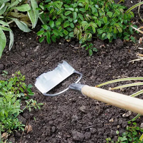 Burgon & Ball RHS-Endorsed Stainless Steel Dutch Hoe