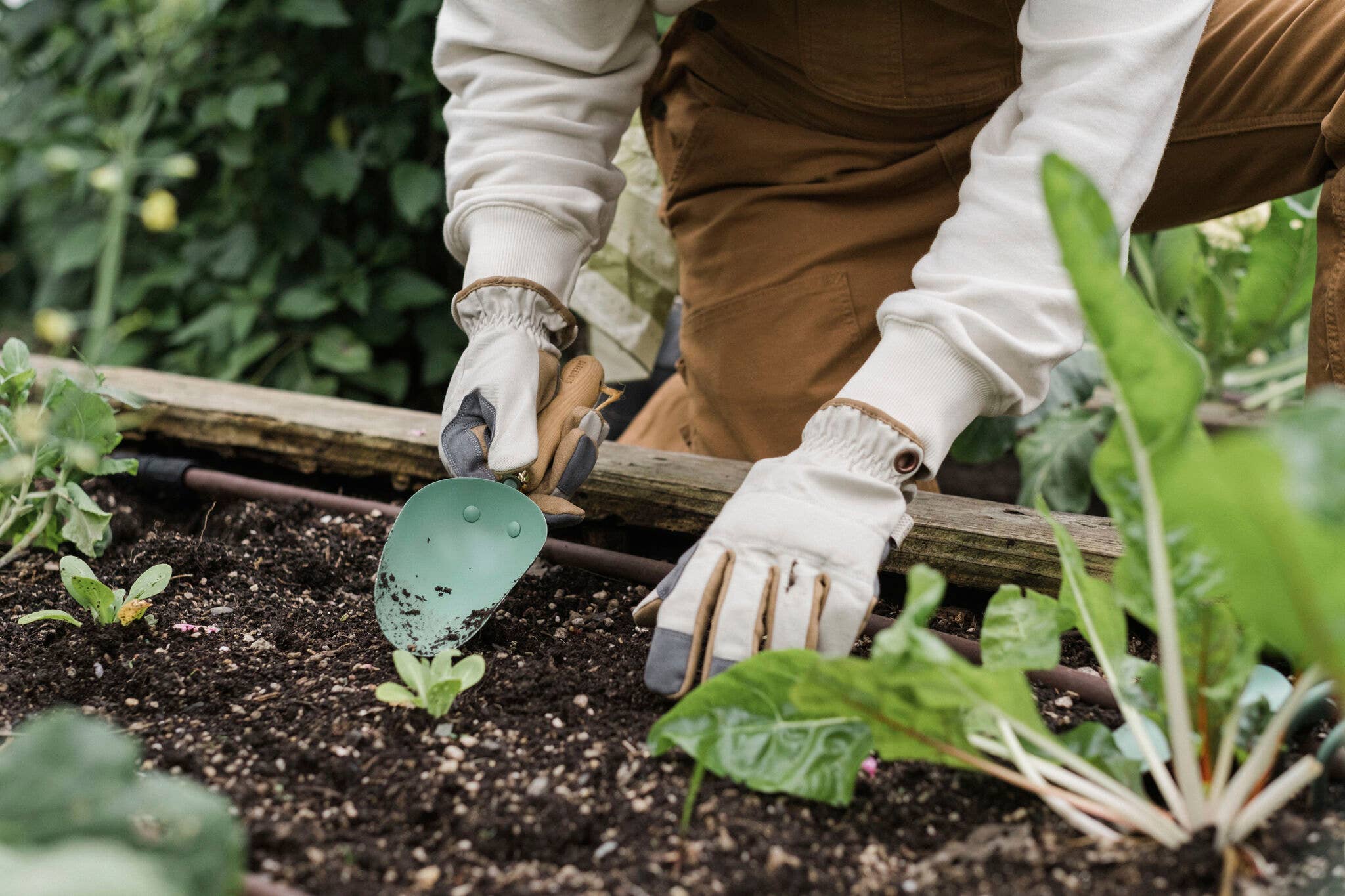 Classic Hand-Forged Soil Trowel | Heritage Garden Scoop