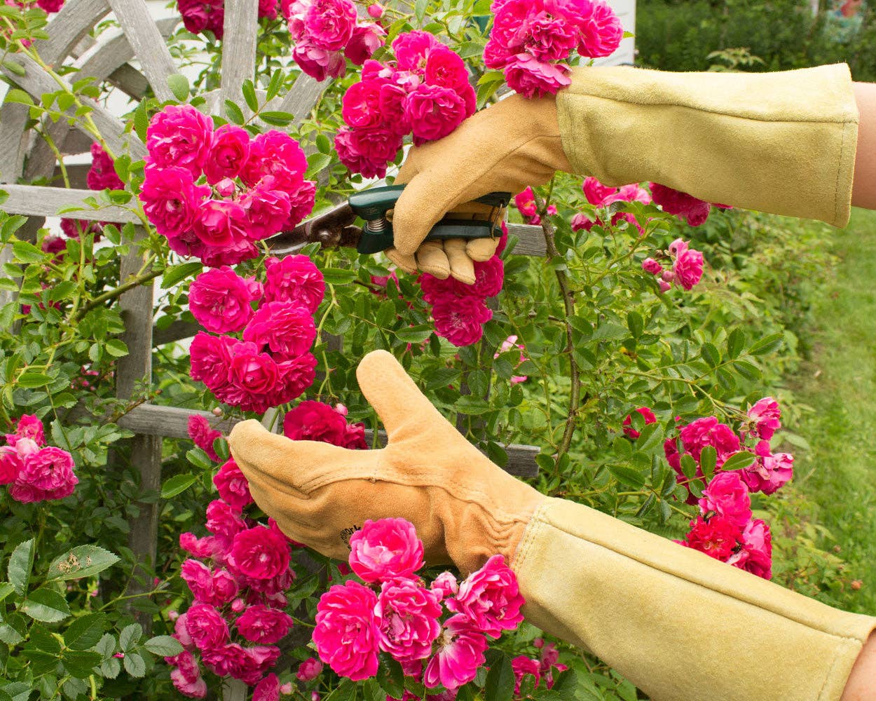 Women's Handcrafted Leather Garden Gauntlets | Full Forearm Protection