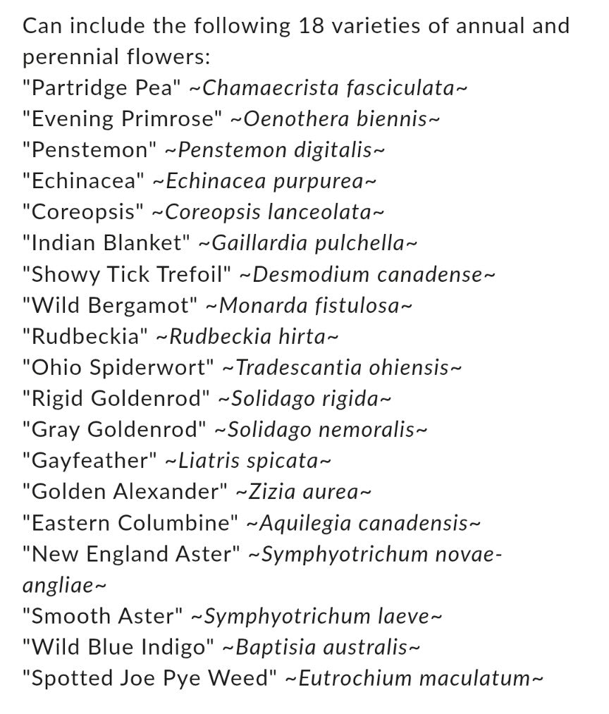 Northeast Native Meadow Mix | Individual Seed Shaker