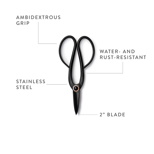 Artisan Garden Pruning Shears | High-Carbon Steel & Brass