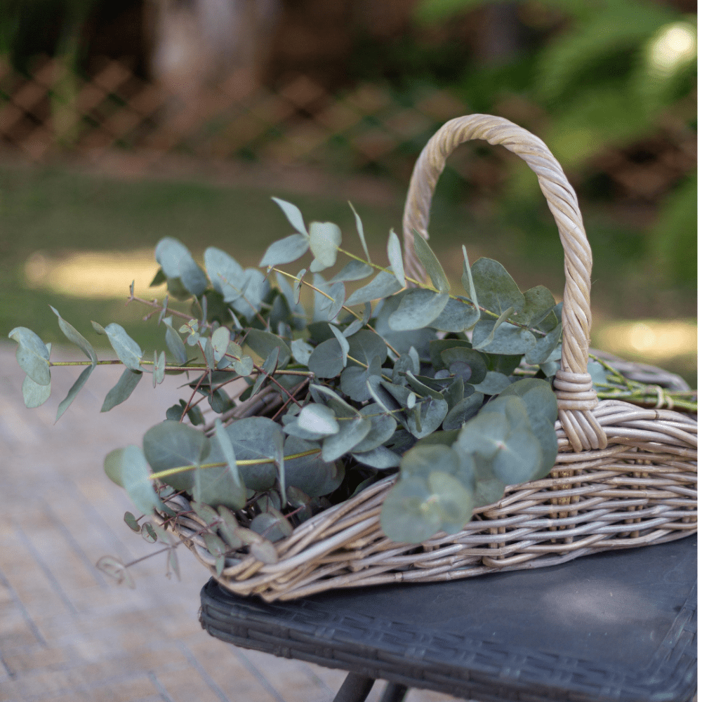 Wicker basket with eucalyptus leaves on a blurred outdoor background