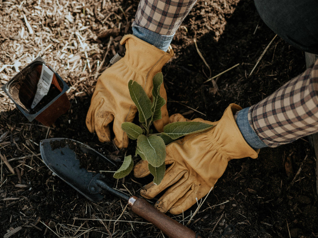 Classic Heritage Work Gloves | Top-Grain Pigskin